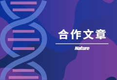 登顶Nature|产量+抗性，鱼和熊掌也可兼得