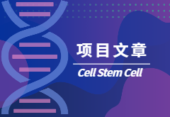 项目文章|人脑研究风云再起，小胶质细胞研究新进展